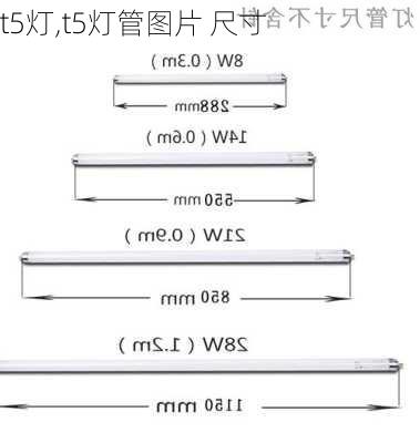 t5灯,t5灯管图片 尺寸-第2张图片-求稳装修网