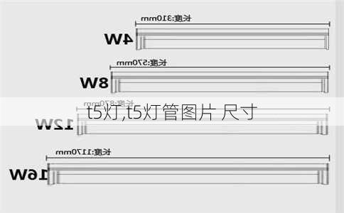t5灯,t5灯管图片 尺寸-第3张图片-求稳装修网