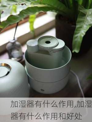 加湿器有什么作用,加湿器有什么作用和好处-第2张图片-求稳装修网