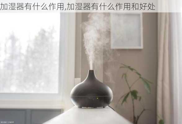 加湿器有什么作用,加湿器有什么作用和好处-第3张图片-求稳装修网