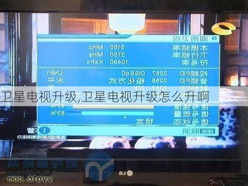 卫星电视升级,卫星电视升级怎么升啊-第3张图片-求稳装修网