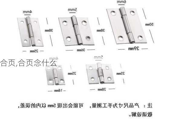 合页,合页念什么-第3张图片-求稳装修网