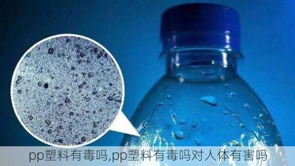 pp塑料有毒吗,pp塑料有毒吗对人体有害吗-第3张图片-求稳装修网