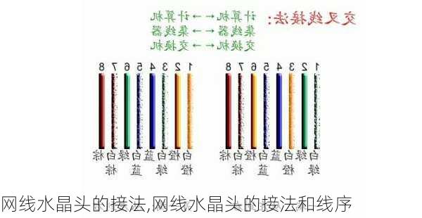 网线水晶头的接法,网线水晶头的接法和线序-第2张图片-求稳装修网