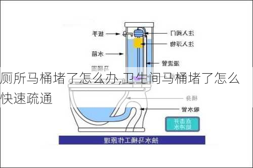 厕所马桶堵了怎么办,卫生间马桶堵了怎么快速疏通-第2张图片-求稳装修网