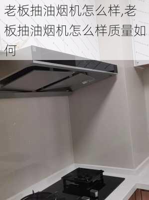 老板抽油烟机怎么样,老板抽油烟机怎么样质量如何-第1张图片-求稳装修网