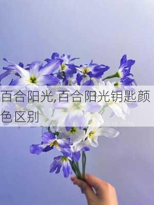 百合阳光,百合阳光钥匙颜色区别-第2张图片-求稳装修网