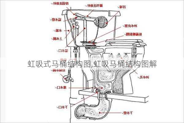 虹吸式马桶结构图,虹吸马桶结构图解-第3张图片-求稳装修网