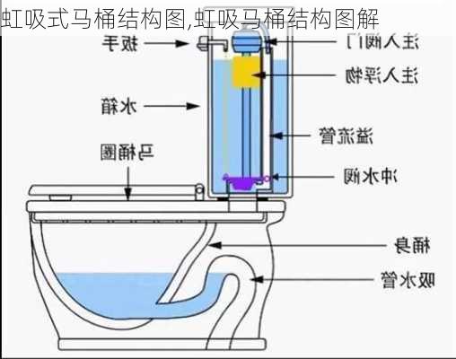 虹吸式马桶结构图,虹吸马桶结构图解-第2张图片-求稳装修网