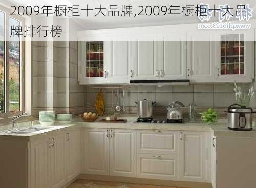 2009年橱柜十大品牌,2009年橱柜十大品牌排行榜-第2张图片-求稳装修网