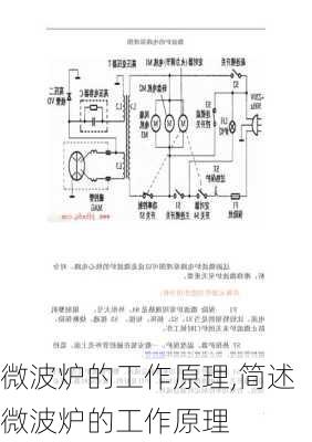 微波炉的工作原理,简述微波炉的工作原理-第1张图片-求稳装修网