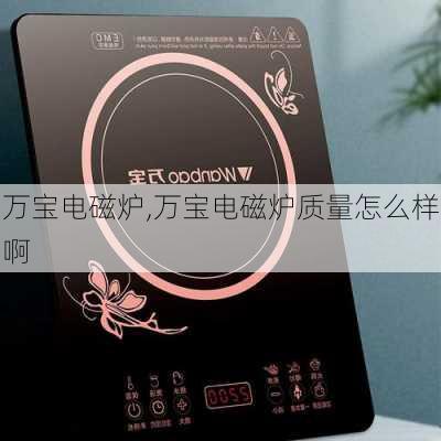 万宝电磁炉,万宝电磁炉质量怎么样啊-第1张图片-求稳装修网