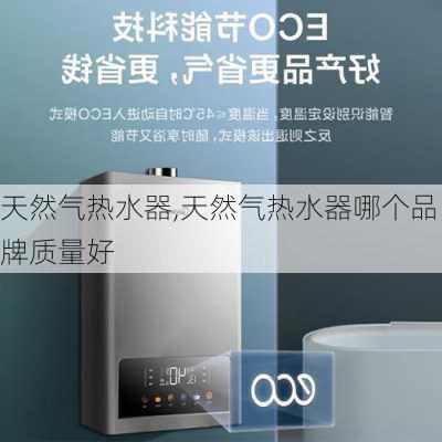 天然气热水器,天然气热水器哪个品牌质量好-第1张图片-求稳装修网