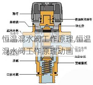 恒温混水阀工作原理,恒温混水阀工作原理动画-第2张图片-求稳装修网