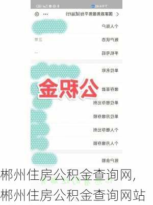 郴州住房公积金查询网,郴州住房公积金查询网站-第3张图片-求稳装修网