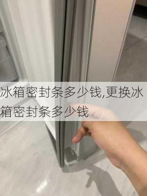 冰箱密封条多少钱,更换冰箱密封条多少钱-第2张图片-求稳装修网