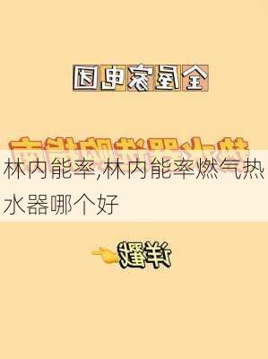 林内能率,林内能率燃气热水器哪个好-第1张图片-求稳装修网