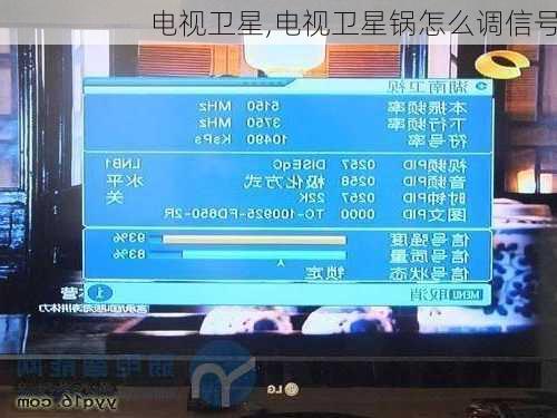 电视卫星,电视卫星锅怎么调信号-第1张图片-求稳装修网
