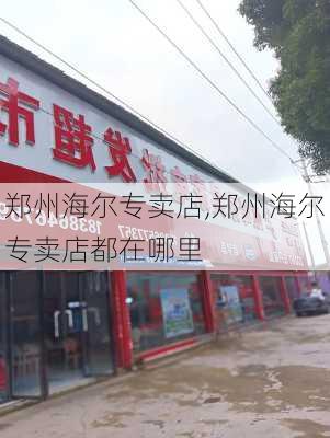 郑州海尔专卖店,郑州海尔专卖店都在哪里-第1张图片-求稳装修网