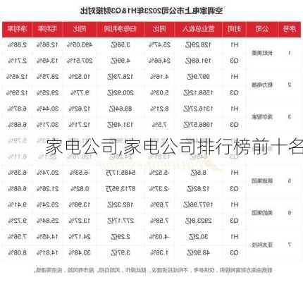 家电公司,家电公司排行榜前十名-第1张图片-求稳装修网