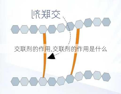 交联剂的作用,交联剂的作用是什么-第1张图片-求稳装修网