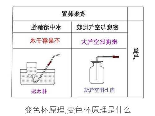 变色杯原理,变色杯原理是什么-第2张图片-求稳装修网