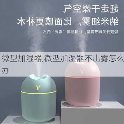 微型加湿器,微型加湿器不出雾怎么办-第1张图片-求稳装修网