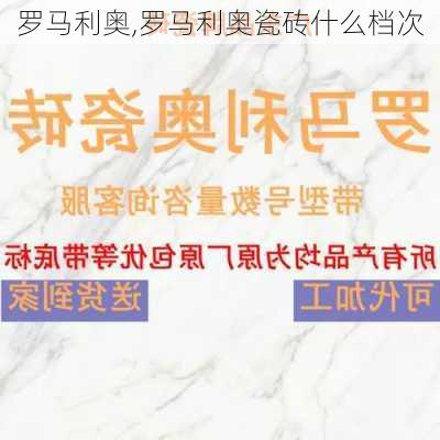 罗马利奥,罗马利奥瓷砖什么档次-第1张图片-求稳装修网