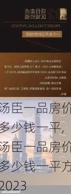 汤臣一品房价多少钱一平,汤臣一品房价多少钱一平方2023-第2张图片-求稳装修网