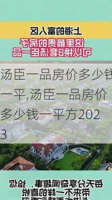 汤臣一品房价多少钱一平,汤臣一品房价多少钱一平方2023-第3张图片-求稳装修网