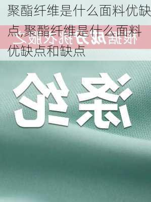 聚酯纤维是什么面料优缺点,聚酯纤维是什么面料优缺点和缺点-第2张图片-求稳装修网