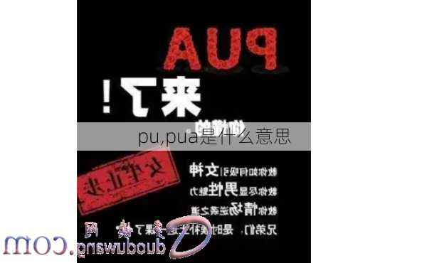 pu,pua是什么意思-第2张图片-求稳装修网