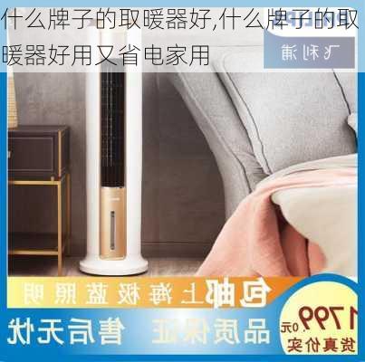 什么牌子的取暖器好,什么牌子的取暖器好用又省电家用-第2张图片-求稳装修网