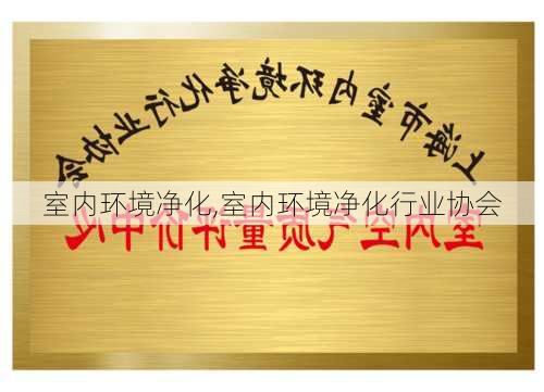 室内环境净化,室内环境净化行业协会-第2张图片-求稳装修网