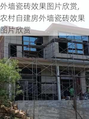 外墙瓷砖效果图片欣赏,农村自建房外墙瓷砖效果图片欣赏-第3张图片-求稳装修网