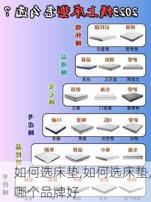 如何选床垫,如何选床垫,哪个品牌好-第3张图片-求稳装修网