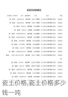 瓷土价格,瓷土价格多少钱一吨-第1张图片-求稳装修网