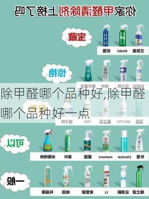 除甲醛哪个品种好,除甲醛哪个品种好一点-第2张图片-求稳装修网