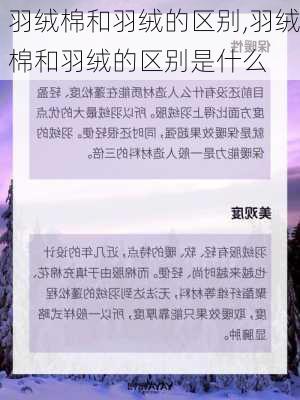 羽绒棉和羽绒的区别,羽绒棉和羽绒的区别是什么-第3张图片-求稳装修网