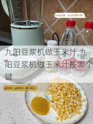 九阳豆浆机做玉米汁,九阳豆浆机做玉米汁按哪个键