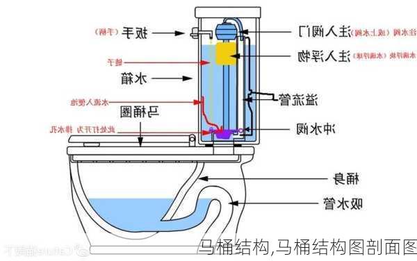 马桶结构,马桶结构图剖面图