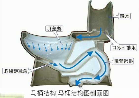 马桶结构,马桶结构图剖面图-第3张图片-求稳装修网