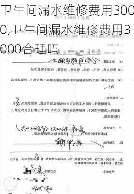 卫生间漏水维修费用3000,卫生间漏水维修费用3000合理吗-第3张图片-求稳装修网