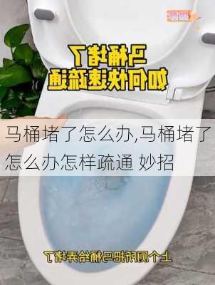 马桶堵了怎么办,马桶堵了怎么办怎样疏通 妙招-第1张图片-求稳装修网