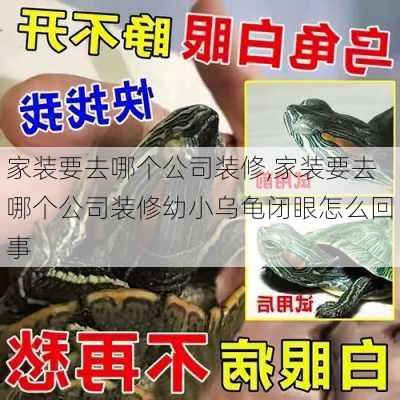 家装要去哪个公司装修,家装要去哪个公司装修幼小乌龟闭眼怎么回事-第1张图片-求稳装修网