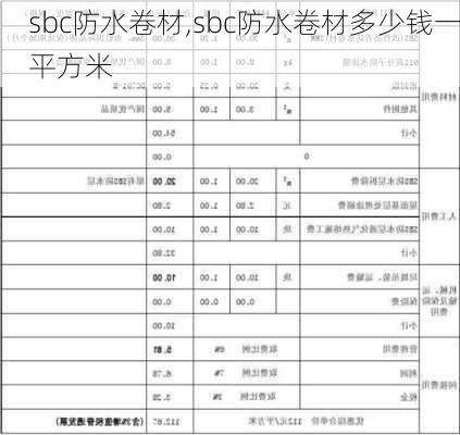 sbc防水卷材,sbc防水卷材多少钱一平方米-第3张图片-求稳装修网