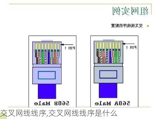 交叉网线线序,交叉网线线序是什么-第2张图片-求稳装修网