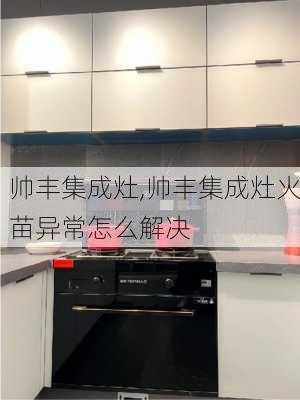 帅丰集成灶,帅丰集成灶火苗异常怎么解决