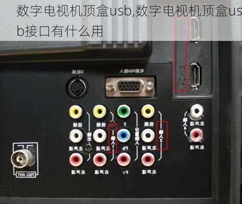 数字电视机顶盒usb,数字电视机顶盒usb接口有什么用-第1张图片-求稳装修网