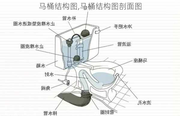 马桶结构图,马桶结构图剖面图-第3张图片-求稳装修网